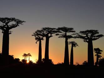 MADAGASKAR beseda s cestovatelem MUDr. Ondřejem Jeřábkem